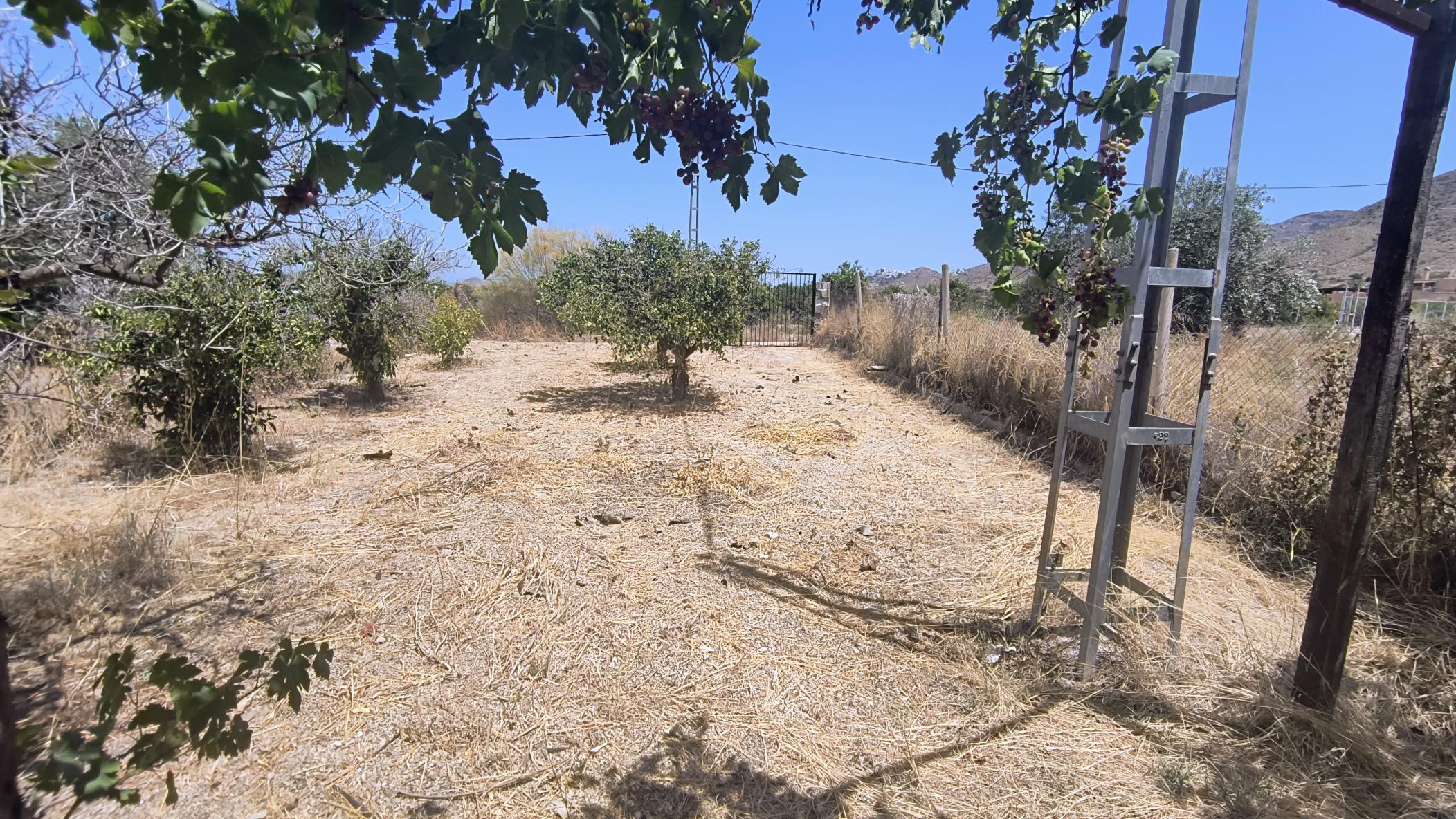 M2113 Cortijo for reform on the outskirts of Turre