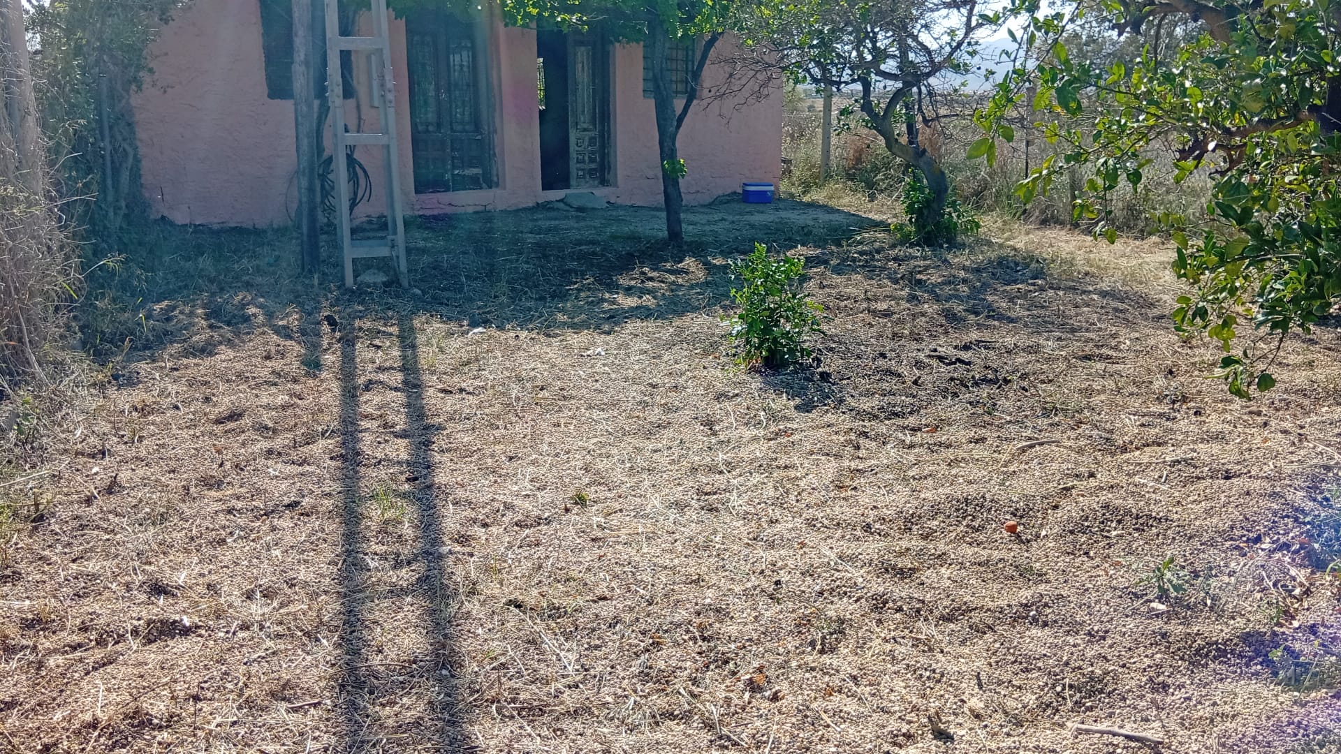 M2113 Cortijo for reform on the outskirts of Turre